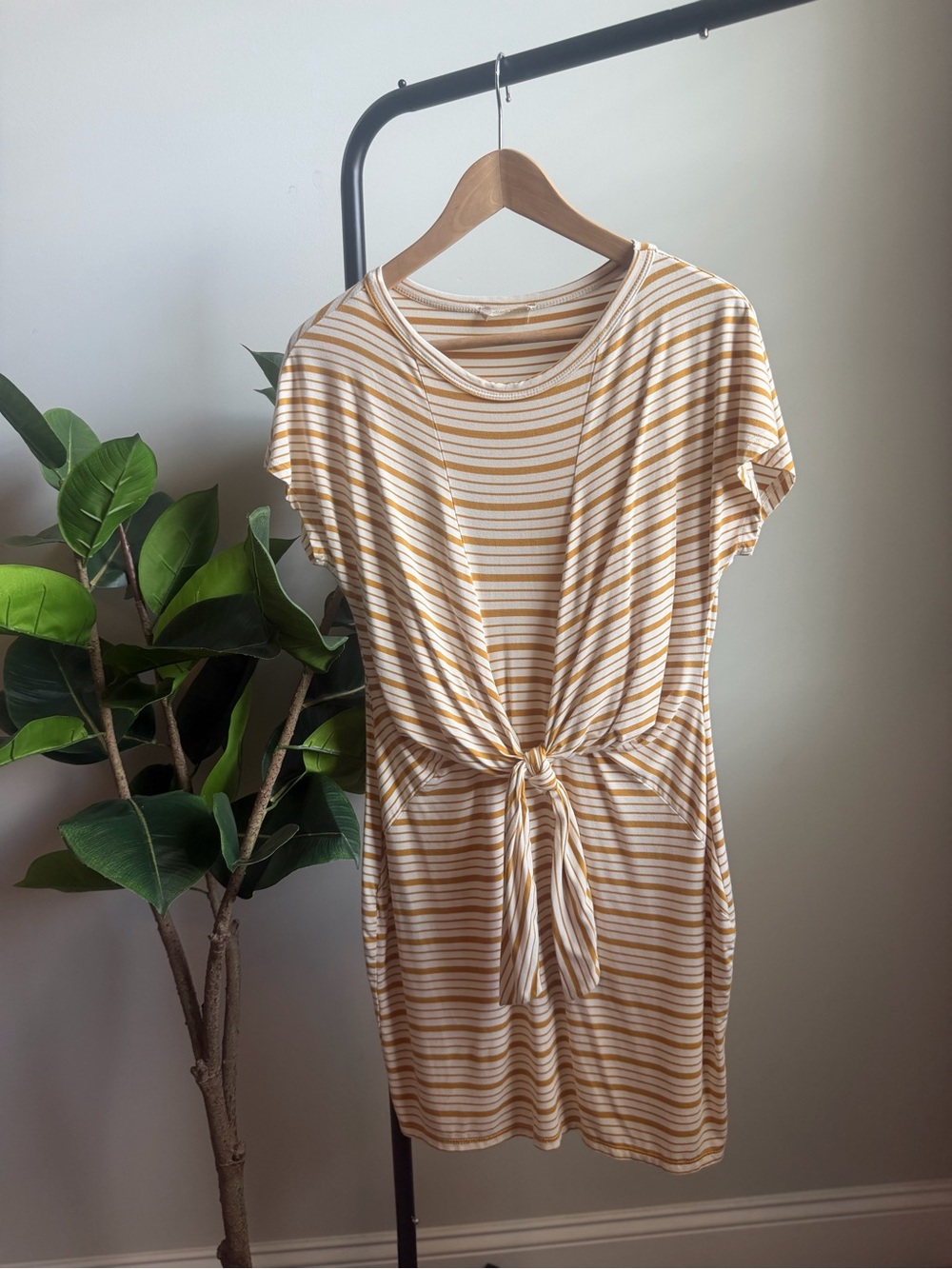 Altar'd State Cream and Tan Striped Tie-Front Mini Dress